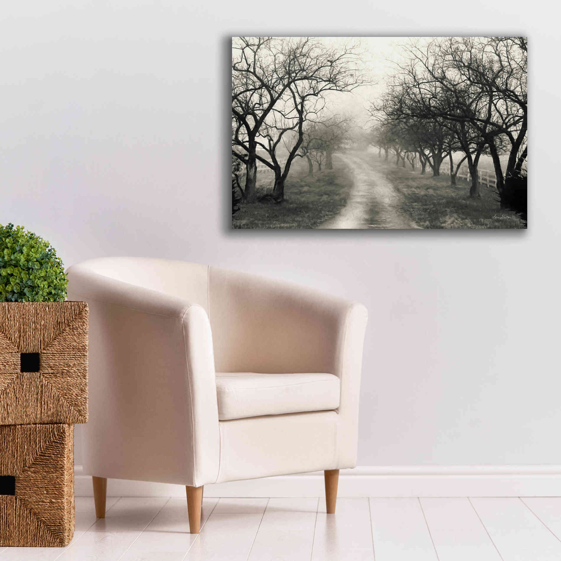 'Foggy Lane' by Lori Deiter, Canvas Wall Art,40 x 26