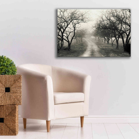 Image of 'Foggy Lane' by Lori Deiter, Canvas Wall Art,40 x 26