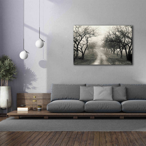 Image of 'Foggy Lane' by Lori Deiter, Canvas Wall Art,60 x 40