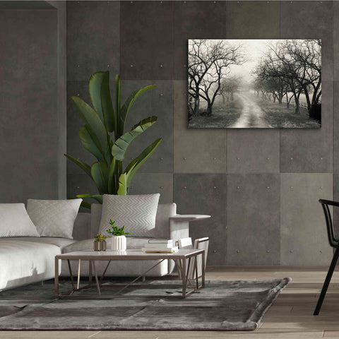 Image of 'Foggy Lane' by Lori Deiter, Canvas Wall Art,60 x 40
