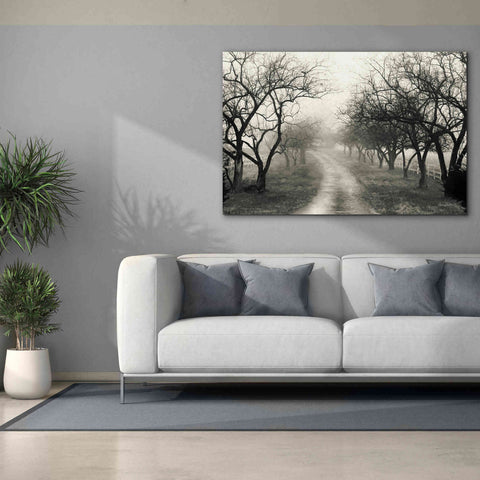 Image of 'Foggy Lane' by Lori Deiter, Canvas Wall Art,60 x 40