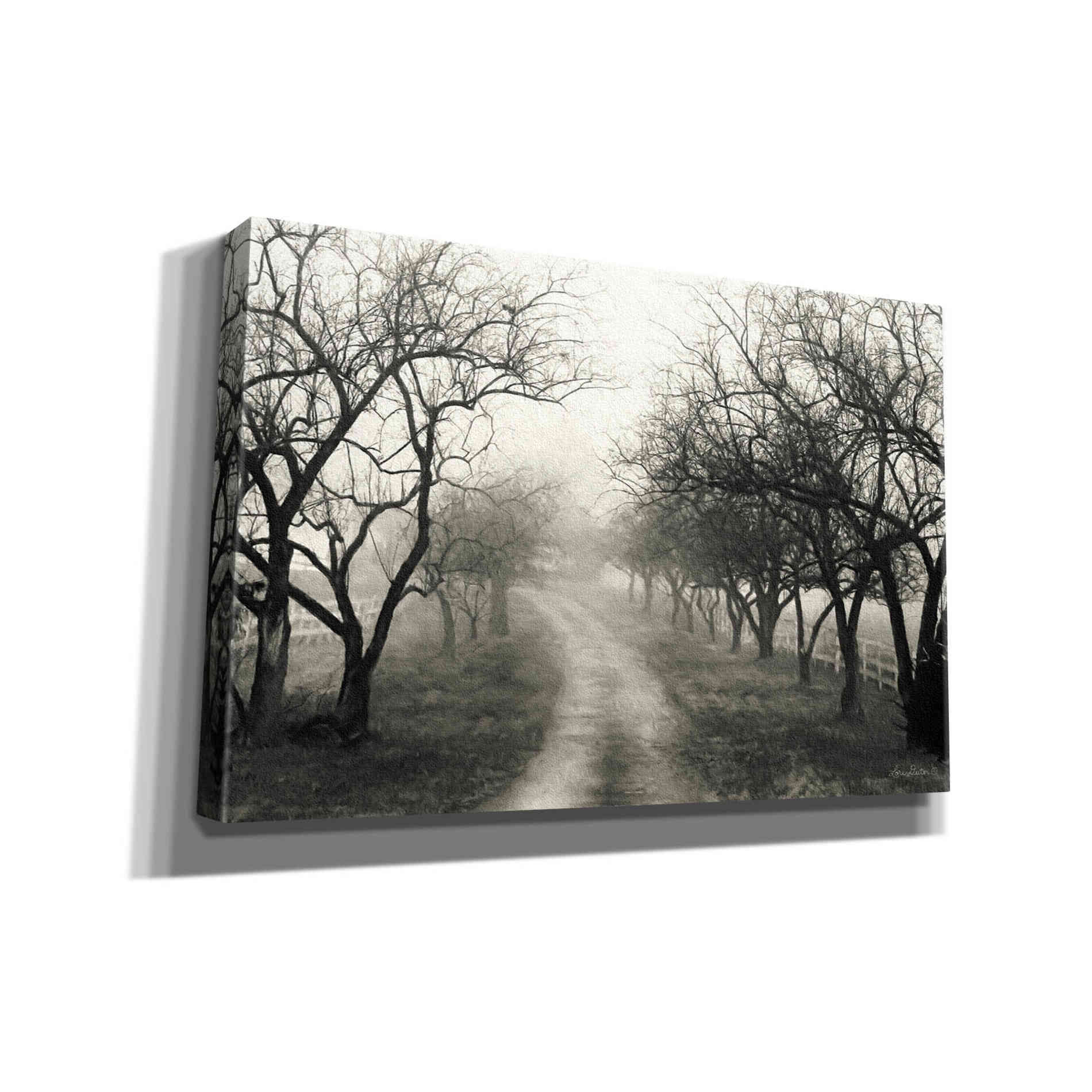 'Foggy Lane' by Lori Deiter, Canvas Wall Art