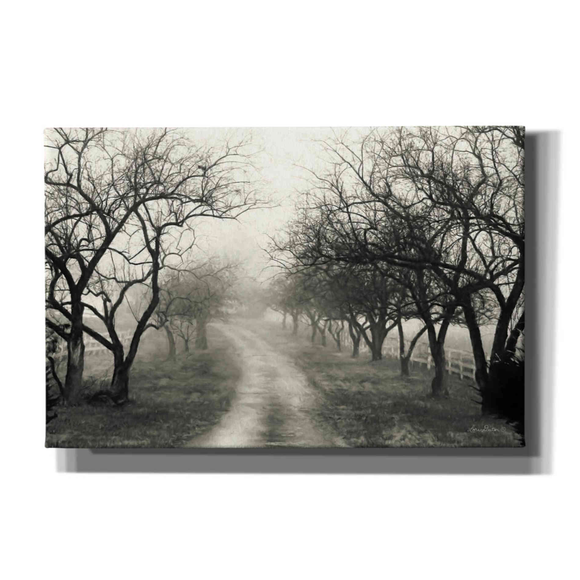 'Foggy Lane' by Lori Deiter, Canvas Wall Art
