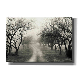 'Foggy Lane' by Lori Deiter, Canvas Wall Art