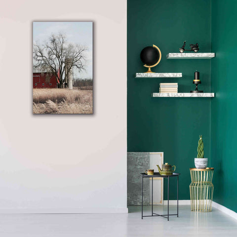 Image of 'Painted Silo' by Lori Deiter, Canvas Wall Art,26 x 40