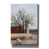 'Painted Silo' by Lori Deiter, Canvas Wall Art