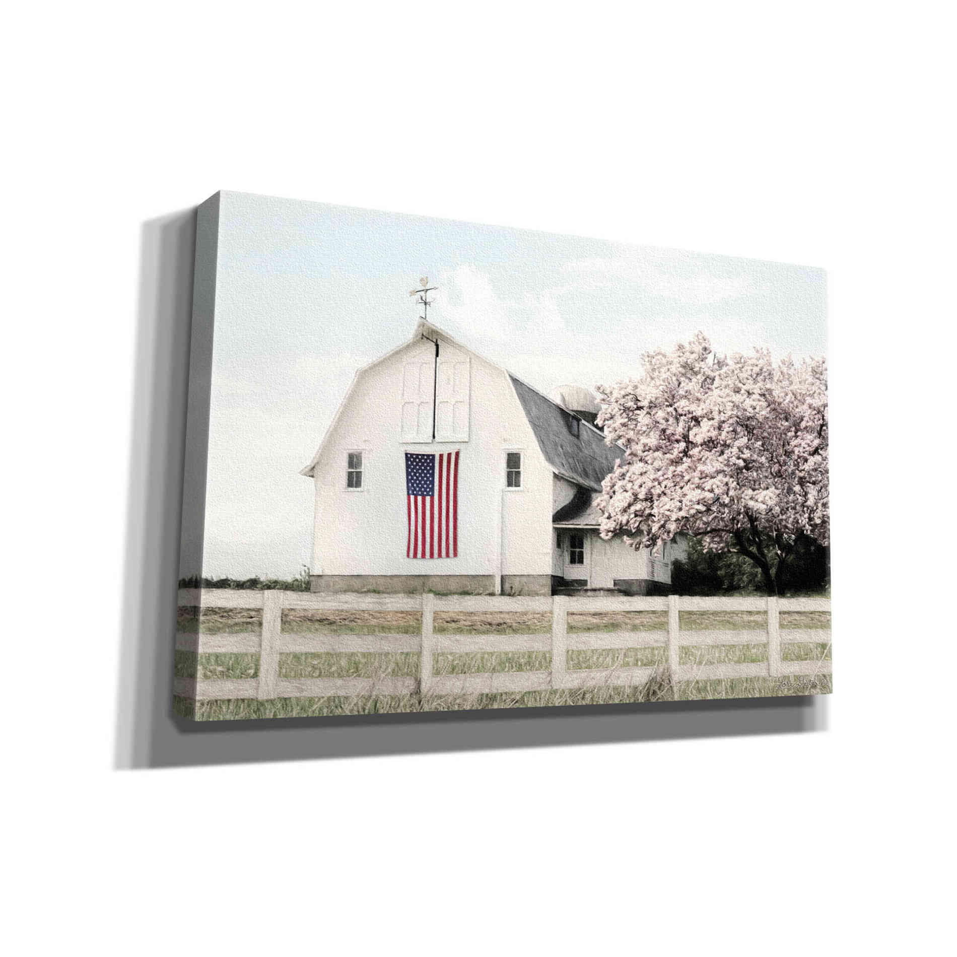 'Brownsville Patriot' by Lori Deiter, Canvas Wall Art