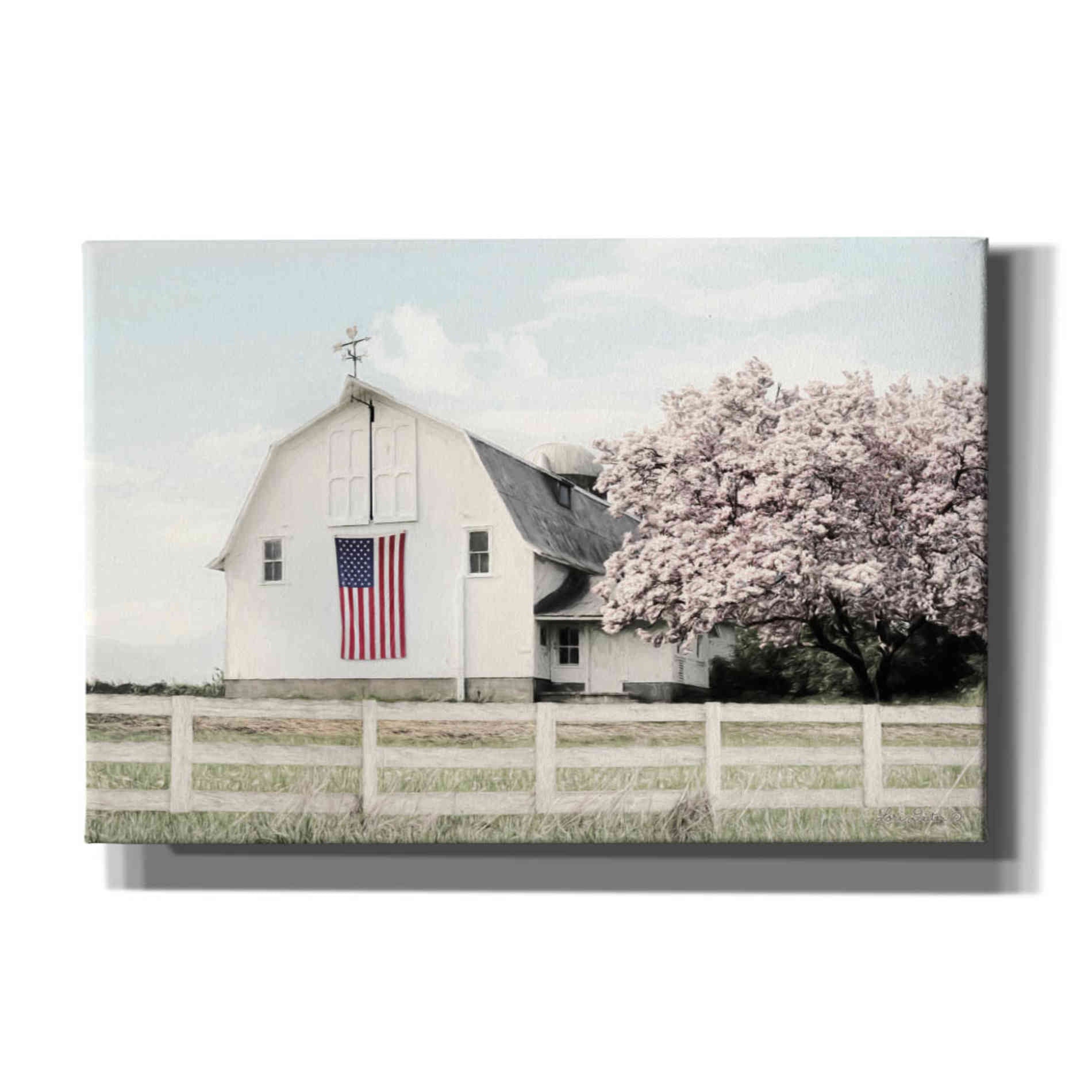 'Brownsville Patriot' by Lori Deiter, Canvas Wall Art