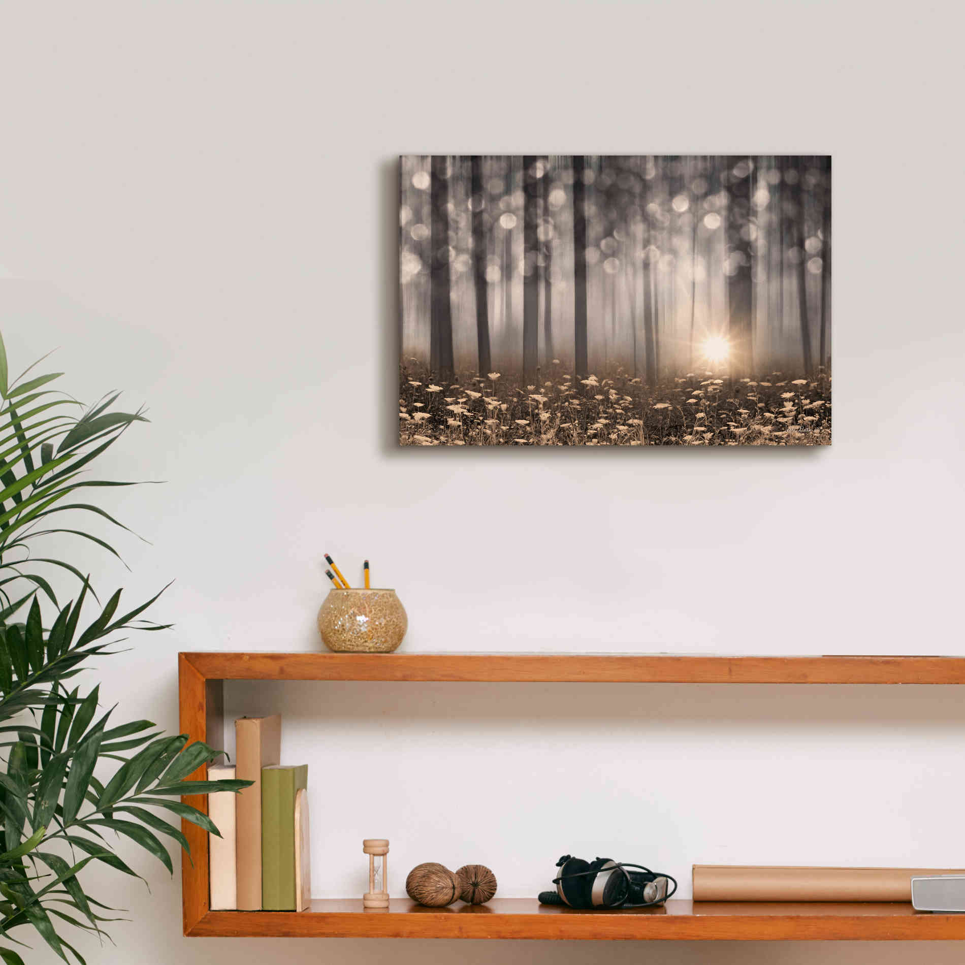 'Enchanted Morning' by Lori Deiter, Canvas Wall Art,18 x 12