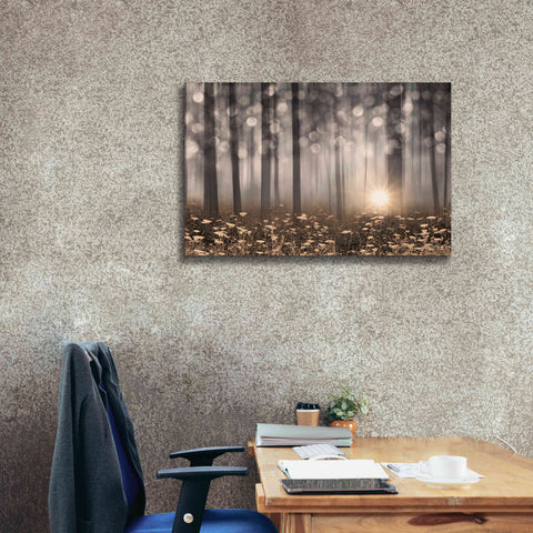 Image of 'Enchanted Morning' by Lori Deiter, Canvas Wall Art,40 x 26