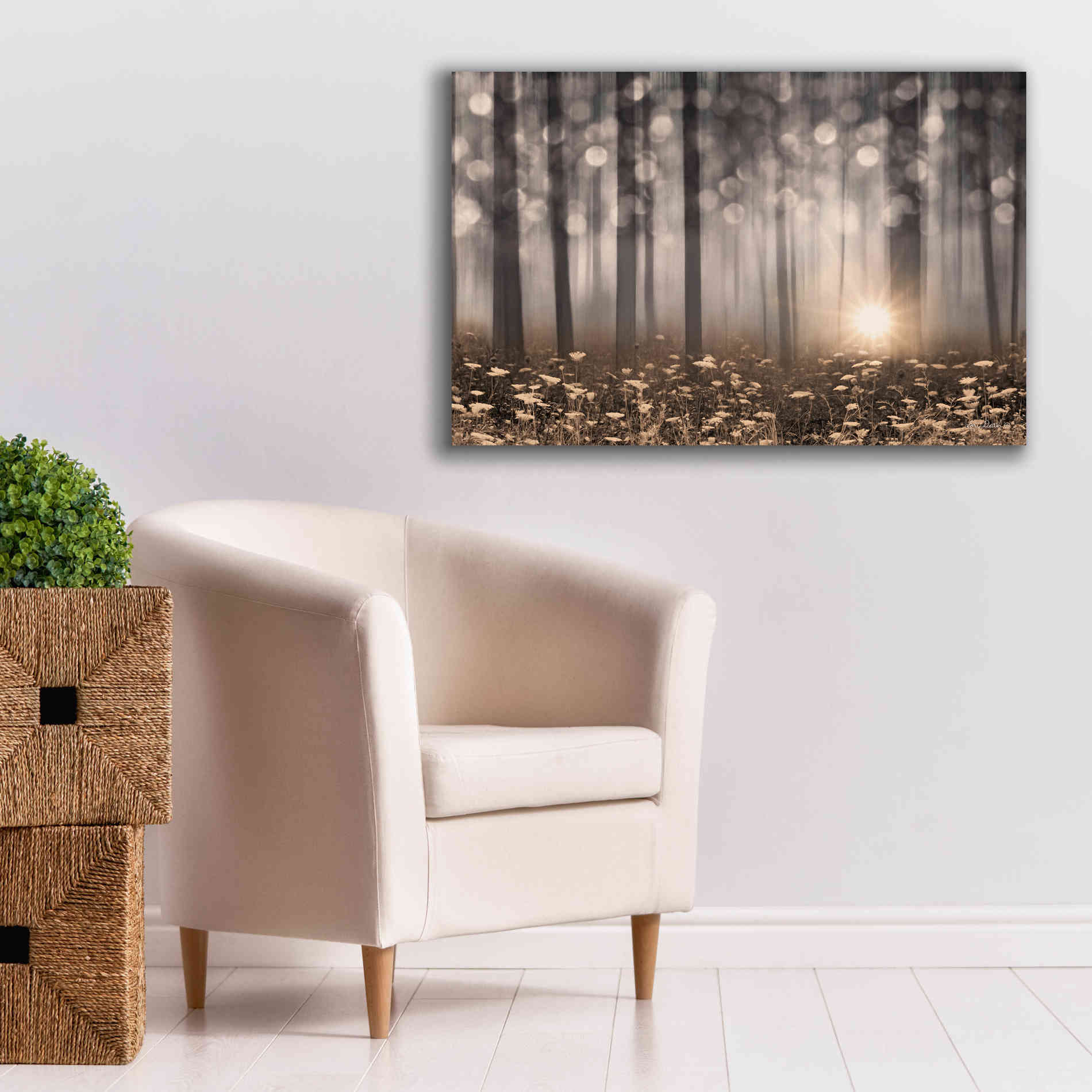 'Enchanted Morning' by Lori Deiter, Canvas Wall Art,40 x 26