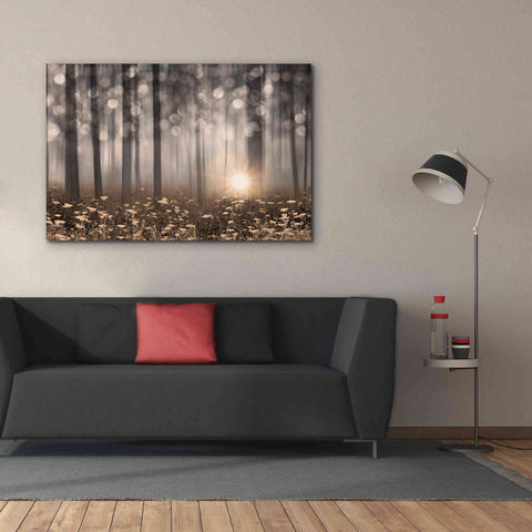 Image of 'Enchanted Morning' by Lori Deiter, Canvas Wall Art,60 x 40