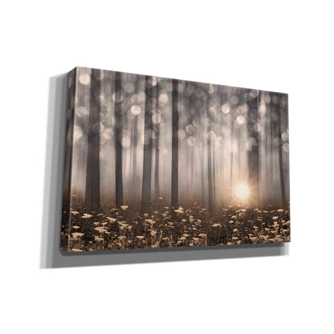 Image of 'Enchanted Morning' by Lori Deiter, Canvas Wall Art