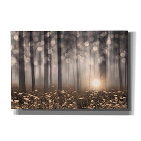 'Enchanted Morning' by Lori Deiter, Canvas Wall Art