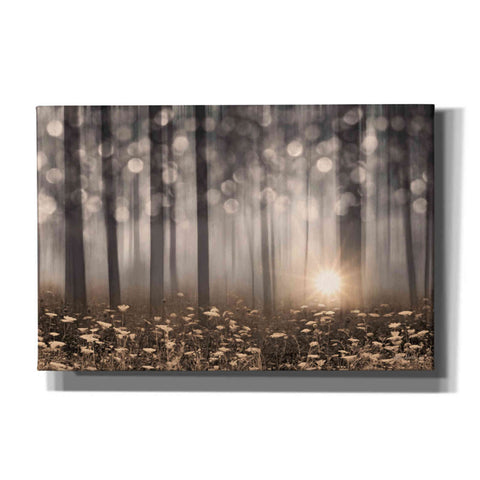 Image of 'Enchanted Morning' by Lori Deiter, Canvas Wall Art