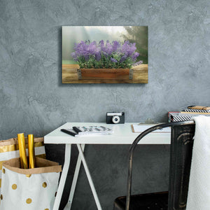 'Lavender Planter' by Lori Deiter, Canvas Wall Art,18 x 12