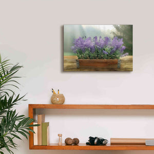 'Lavender Planter' by Lori Deiter, Canvas Wall Art,18 x 12