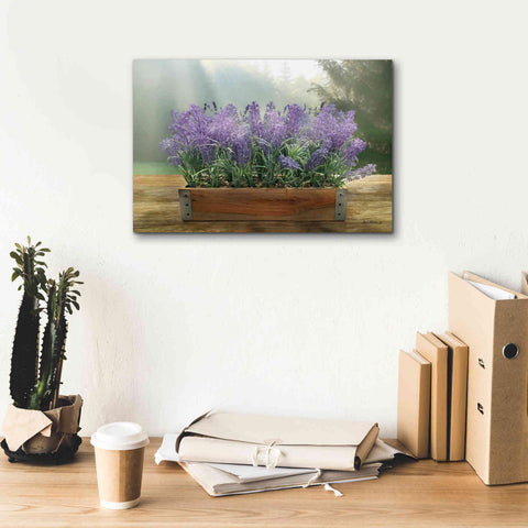 Image of 'Lavender Planter' by Lori Deiter, Canvas Wall Art,18 x 12