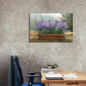 'Lavender Planter' by Lori Deiter, Canvas Wall Art,40 x 26