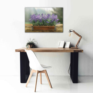 'Lavender Planter' by Lori Deiter, Canvas Wall Art,40 x 26