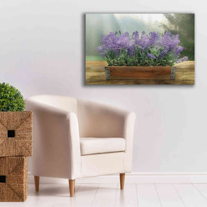 'Lavender Planter' by Lori Deiter, Canvas Wall Art,40 x 26