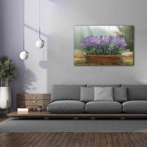 'Lavender Planter' by Lori Deiter, Canvas Wall Art,60 x 40