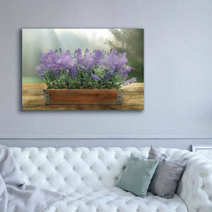 'Lavender Planter' by Lori Deiter, Canvas Wall Art,60 x 40