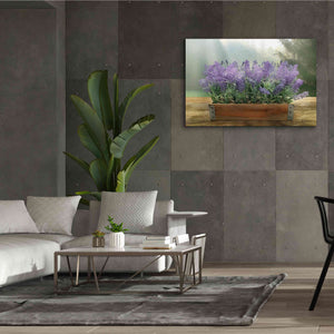 'Lavender Planter' by Lori Deiter, Canvas Wall Art,60 x 40