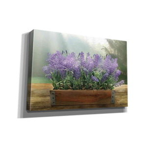 'Lavender Planter' by Lori Deiter, Canvas Wall Art