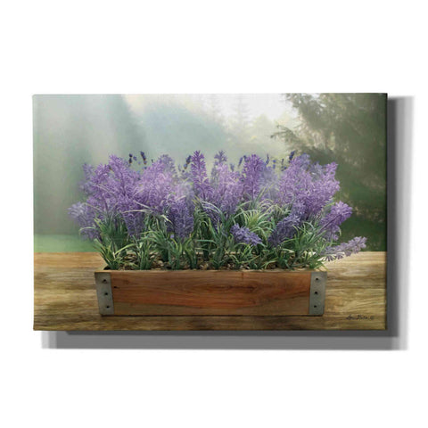 Image of 'Lavender Planter' by Lori Deiter, Canvas Wall Art