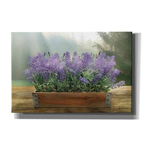 'Lavender Planter' by Lori Deiter, Canvas Wall Art