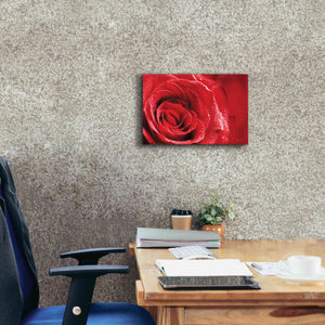 'Red Rose After Rain' by Lori Deiter, Canvas Wall Art,18 x 12