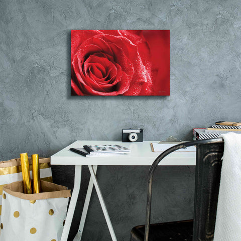 Image of 'Red Rose After Rain' by Lori Deiter, Canvas Wall Art,18 x 12