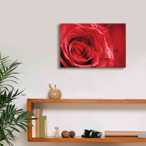 Image of 'Red Rose After Rain' by Lori Deiter, Canvas Wall Art,18 x 12