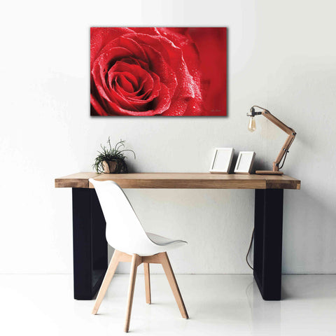 Image of 'Red Rose After Rain' by Lori Deiter, Canvas Wall Art,40 x 26