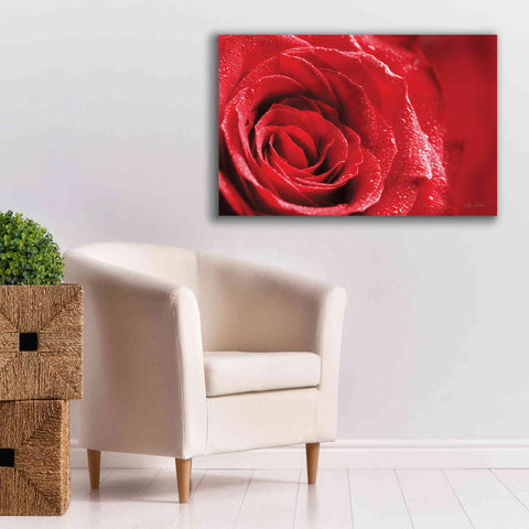 Image of 'Red Rose After Rain' by Lori Deiter, Canvas Wall Art,40 x 26