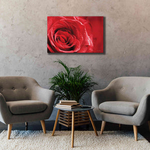 'Red Rose After Rain' by Lori Deiter, Canvas Wall Art,40 x 26