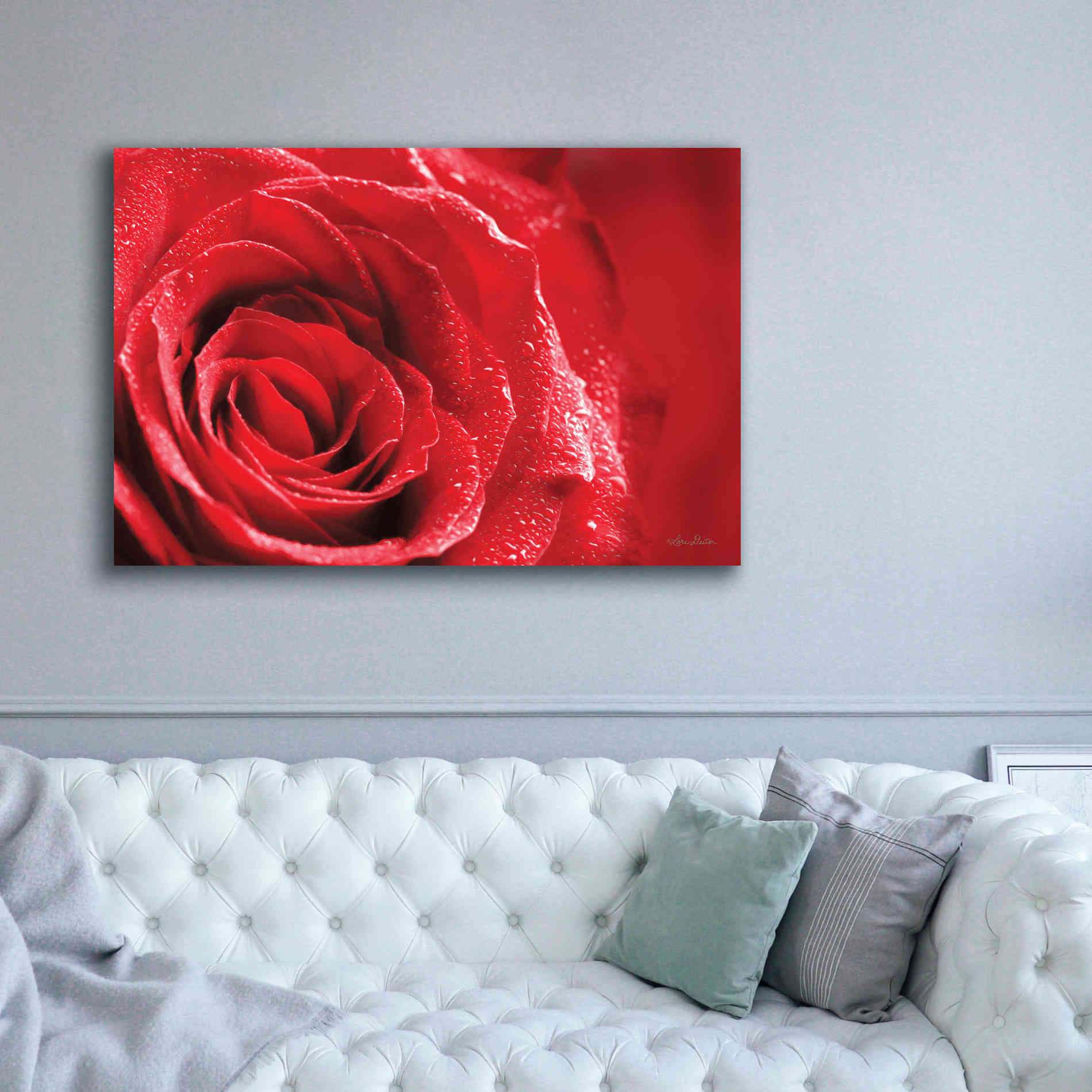 'Red Rose After Rain' by Lori Deiter, Canvas Wall Art,60 x 40