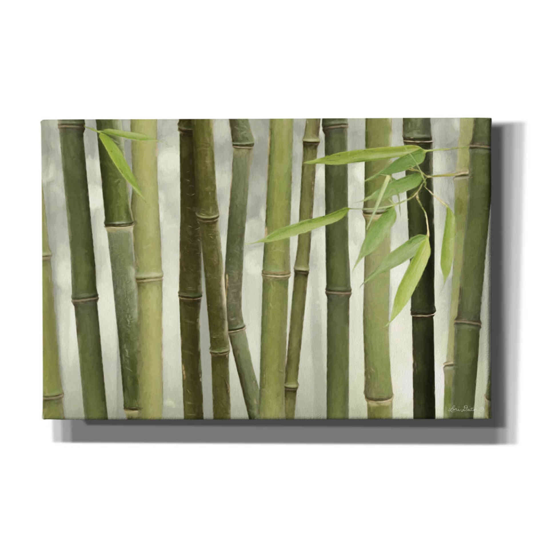 'Backlit Bamboo I' by Lori Deiter, Canvas Wall Art