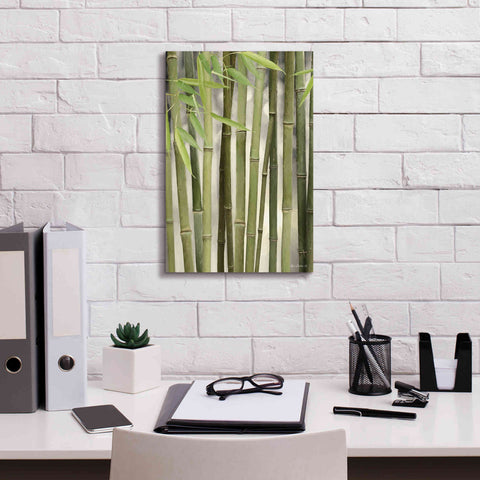 Image of 'Backlit Bamboo II' by Lori Deiter, Canvas Wall Art,12 x 18