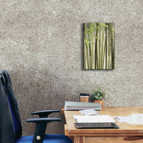 Image of 'Backlit Bamboo II' by Lori Deiter, Canvas Wall Art,12 x 18