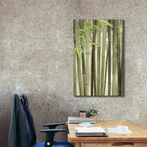 Image of 'Backlit Bamboo II' by Lori Deiter, Canvas Wall Art,26 x 40