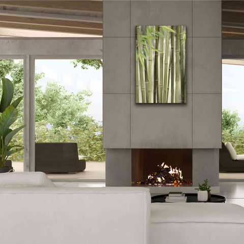 Image of 'Backlit Bamboo II' by Lori Deiter, Canvas Wall Art,26 x 40