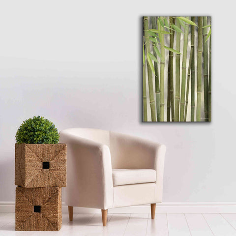 Image of 'Backlit Bamboo II' by Lori Deiter, Canvas Wall Art,26 x 40