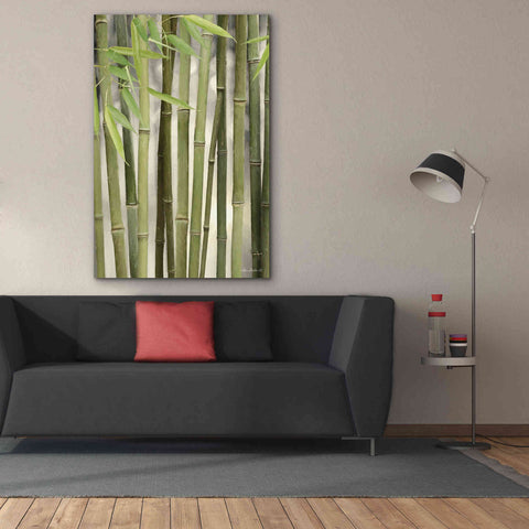 Image of 'Backlit Bamboo II' by Lori Deiter, Canvas Wall Art,40 x 60