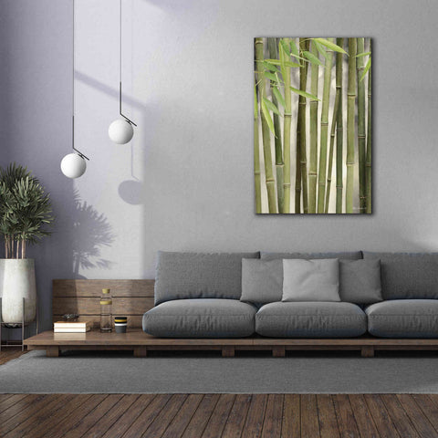 Image of 'Backlit Bamboo II' by Lori Deiter, Canvas Wall Art,40 x 60