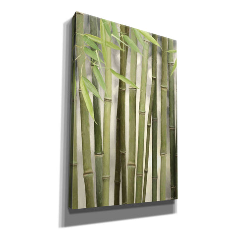 Image of 'Backlit Bamboo II' by Lori Deiter, Canvas Wall Art