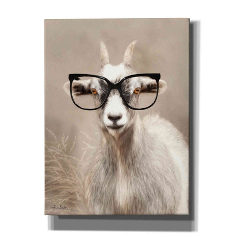 Image of 'See Clearly Goat' by Lori Deiter, Canvas Wall Art