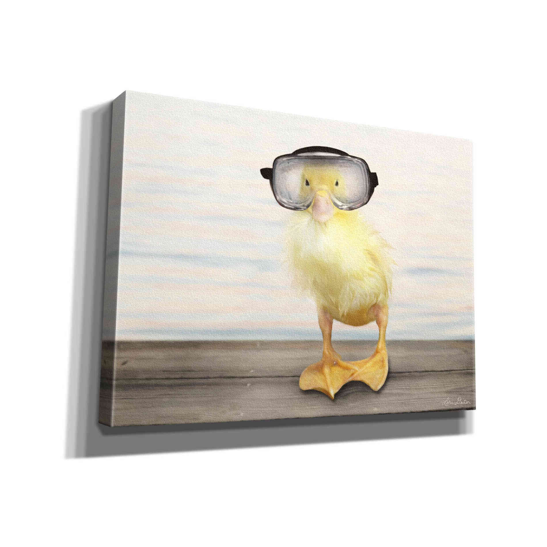 'Diving Duck' by Lori Deiter, Canvas Wall Art