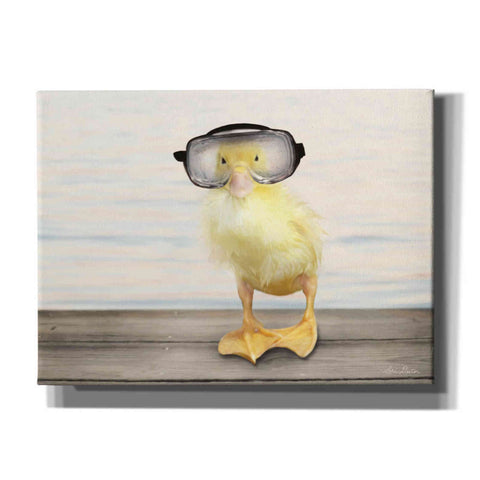 Image of 'Diving Duck' by Lori Deiter, Canvas Wall Art